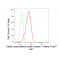 LifeSab™ DAPK1 Rabbit mAb (20 μl)