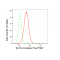 LifeSab™ ELOVL5 Rabbit mAb (20 μl)