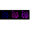 LifeSab™ ELOVL5 Rabbit mAb (20 μl)