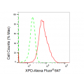 LifeSab™ XPD Rabbit mAb (20 μl)