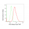 LifeSab™ XPD Rabbit mAb (20 μl)