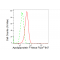 LifeSab™ APOF Rabbit mAb (20 μl)