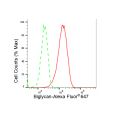 LifeSab™ BGN Rabbit mAb (20 μl)