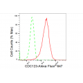 LifeSab™ CDC123 Rabbit mAb (20 μl)