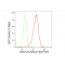 LifeSab™ CDC123 Rabbit mAb (20 μl)