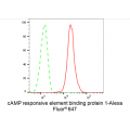 LifeSab™ CREB Rabbit mAb (20 μl)