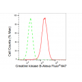 LifeSab™ CKB Rabbit mAb (20 μl)