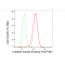 LifeSab™ CKB Rabbit mAb (20 μl)