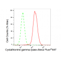 LifeSab™ CTH Rabbit mAb (20 μl)