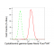 LifeSab™ CTH Rabbit mAb (20 μl)