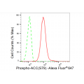 LifeSab™ Phospho-ACC(S79) Rabbit mAb (20 μl)