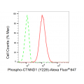 LifeSab™ Phospho-CTNND1 (Y228) Rabbit mAb (20 μl)