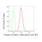 LifeSab™ Phospho-CTNND1 (Y228) Rabbit mAb (20 μl)