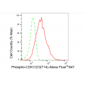 LifeSab™ Phospho-CDK1/2/3(T14) Rabbit mAb (20 μl)