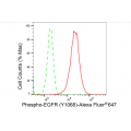 LifeSab™ Phospho-EGFR (Y1068) Rabbit mAb (20 μl)