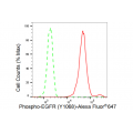 LifeSab™ Phospho-EGFR (Y1068) Rabbit mAb (20 μl)