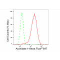 LifeSab™ ACO1 Rabbit mAb (20 μl)