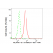 LifeSab™ ADAMTS13 Rabbit mAb (20 μl)