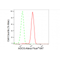 LifeSab™ AGO3 Rabbit mAb (20 μl)