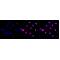 LifeSab™ AGO3 Rabbit mAb (20 μl)