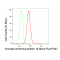 LifeSab™ AKAP14 Rabbit mAb (20 μl)