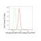 LifeSab™ Phospho-BRAF (T401) Rabbit mAb (20 μl)