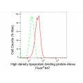 LifeSab™ HDLBP Rabbit mAb (20 μl)