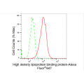 LifeSab™ HDLBP Rabbit mAb (20 μl)