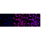 LifeSab™ HDLBP Rabbit mAb (20 μl)