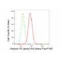 LifeSab™ Histone H3 (acetyl K4) Rabbit mAb (20 μl)