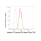 LifeSab™ Histone H3 (acetyl K4) Rabbit mAb (20 μl)