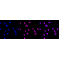 LifeSab™ Histone H3 (mono methyl K18) Rabbit mAb (20 μl)