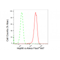 LifeSab™ Hsp90 α Rabbit mAb (20 μl)