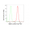 LifeSab™ Hsp90 α Rabbit mAb (20 μl)