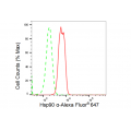 LifeSab™ Hsp90 α Rabbit mAb (20 μl)