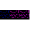 LifeSab™ Hsp90 α Rabbit mAb (20 μl)