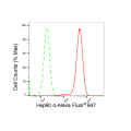 LifeSab™ Hsp90 α Rabbit mAb (20 μl)