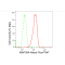 LifeSab™ MAP3K4 Rabbit mAb (20 μl)