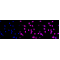 LifeSab™ MAP3K4 Rabbit mAb (20 μl)