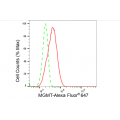 LifeSab™ MGMT Rabbit mAb (20 μl)