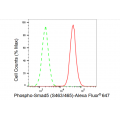 LifeSab™ Phospho-Smad5 (S463/465) Rabbit mAb (20 μl)