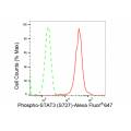 LifeSab™ Phospho-STAT3 (S727) Rabbit mAb (20 μl)