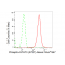 LifeSab™ Phospho-STAT3 (S727) Rabbit mAb (20 μl)