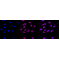 LifeSab™ Phospho-PRKAA2 (S345) Rabbit mAb (20 μl)