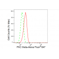 LifeSab™ PRKCT Rabbit mAb (20 μl)