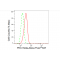 LifeSab™ PRKCT Rabbit mAb (20 μl)