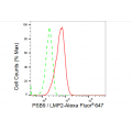 LifeSab™ PSMB9 Rabbit mAb (20 μl)