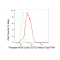 LifeSab™ Phospho-RSK1 p90 (T573) Rabbit mAb (20 μl)