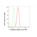 LifeSab™ SCIN Rabbit mAb (20 μl)