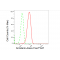 LifeSab™ SCIN Rabbit mAb (20 μl)